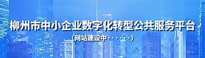 柳州市中小企业数字化转型公共服务平台（网站建设中.......）