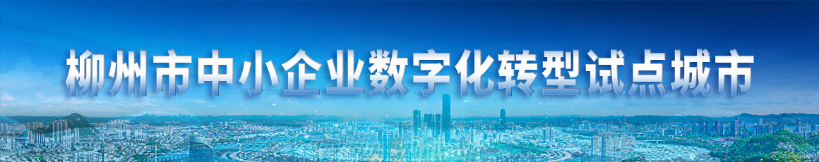 柳州市中小企业数字化转型试点城市